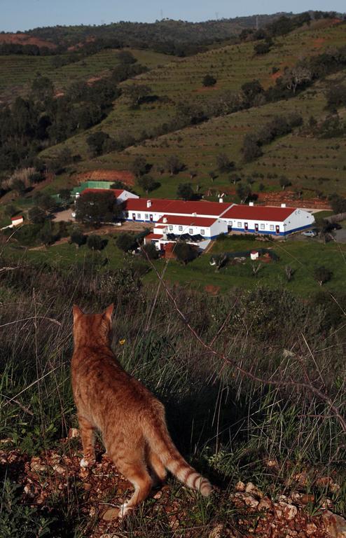 Quinta Do Chocalhinho Agroturismo & Spa オデミラ エクステリア 写真