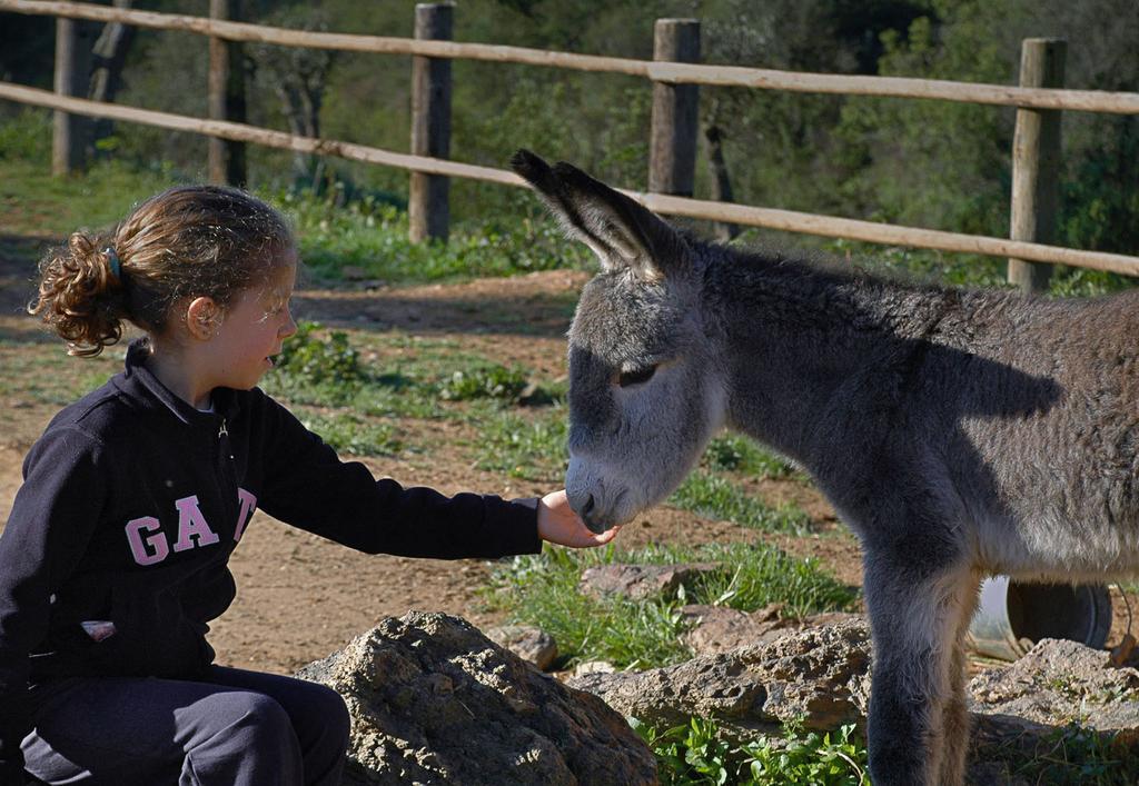 Quinta Do Chocalhinho Agroturismo & Spa オデミラ エクステリア 写真