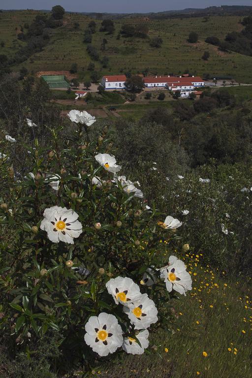 Quinta Do Chocalhinho Agroturismo & Spa オデミラ エクステリア 写真